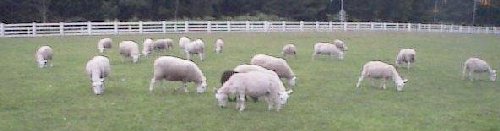 �Ђ��������ς�(^_^;